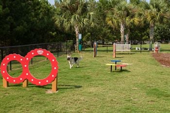 Paw park